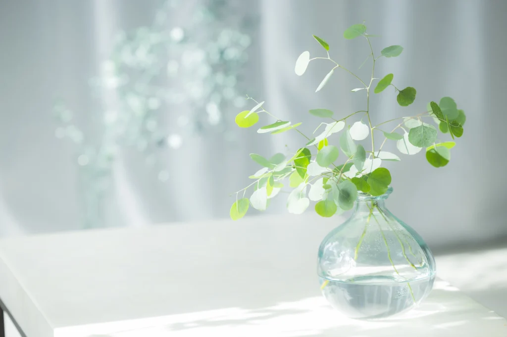 花瓶と葉っぱ
