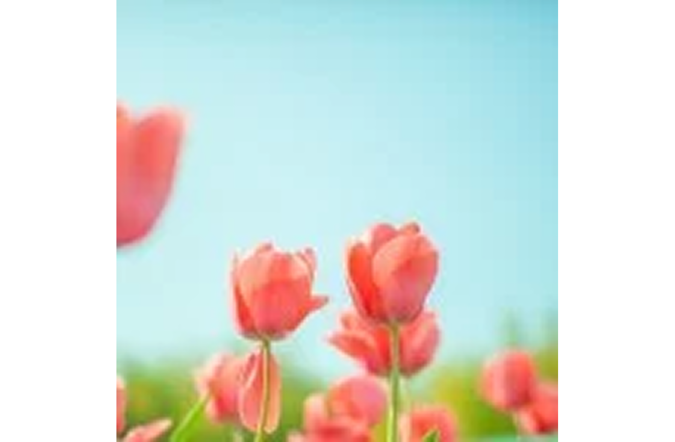 あなたの心は健康ですか？　５